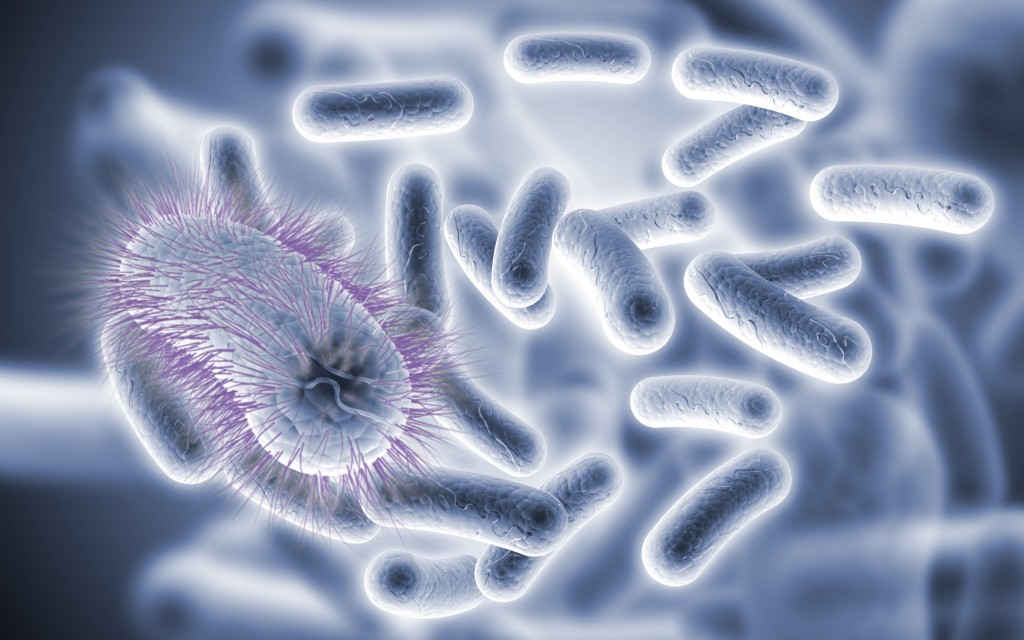 Жизнедеятельность микробов